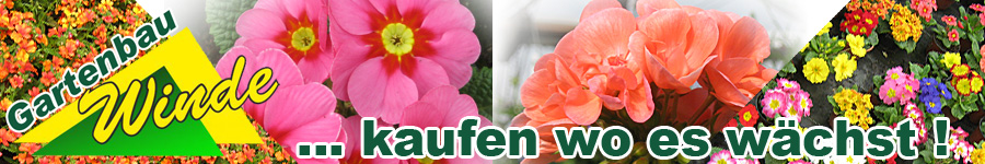 Gartenbau Winde – kaufen, wo es wächst!
